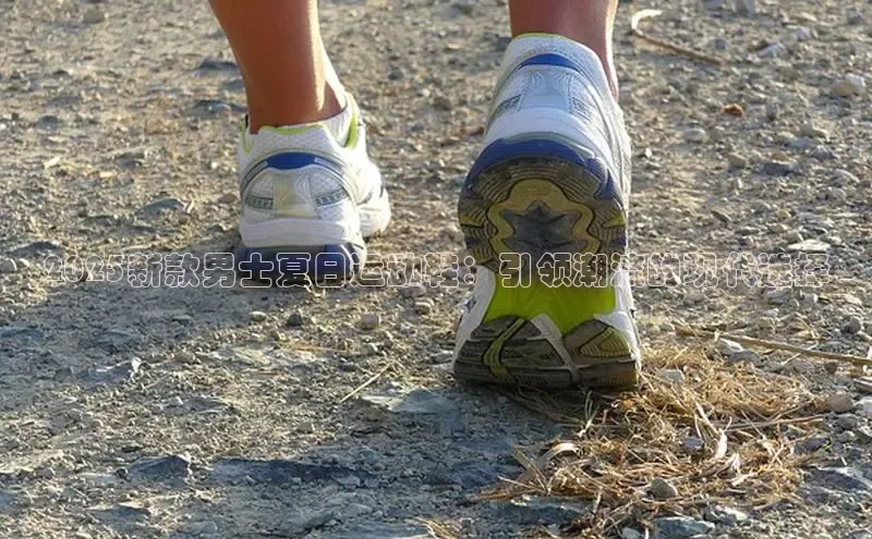 XCSport网页版入口