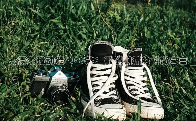 XCSport网页版入口