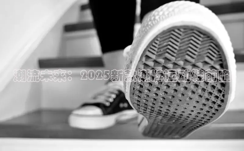 XCSport网页版入口
