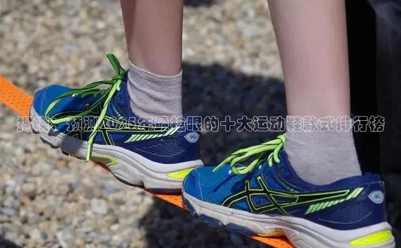 XCsport体育